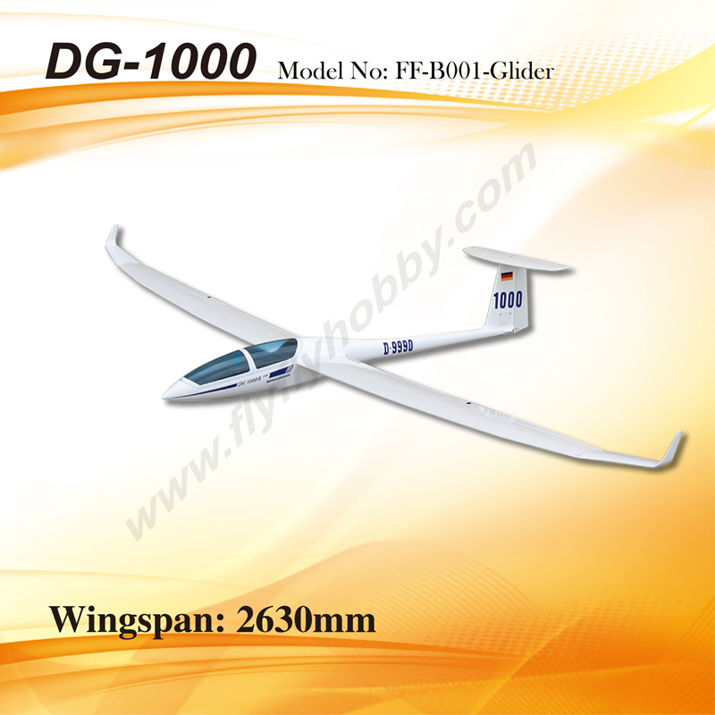 DG-1000 Glider_KIT